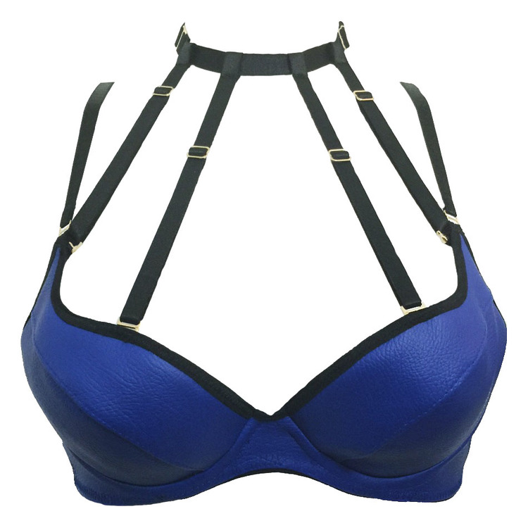 Blue Reign Jordan Harness bra, £90 (около 9180 руб.)