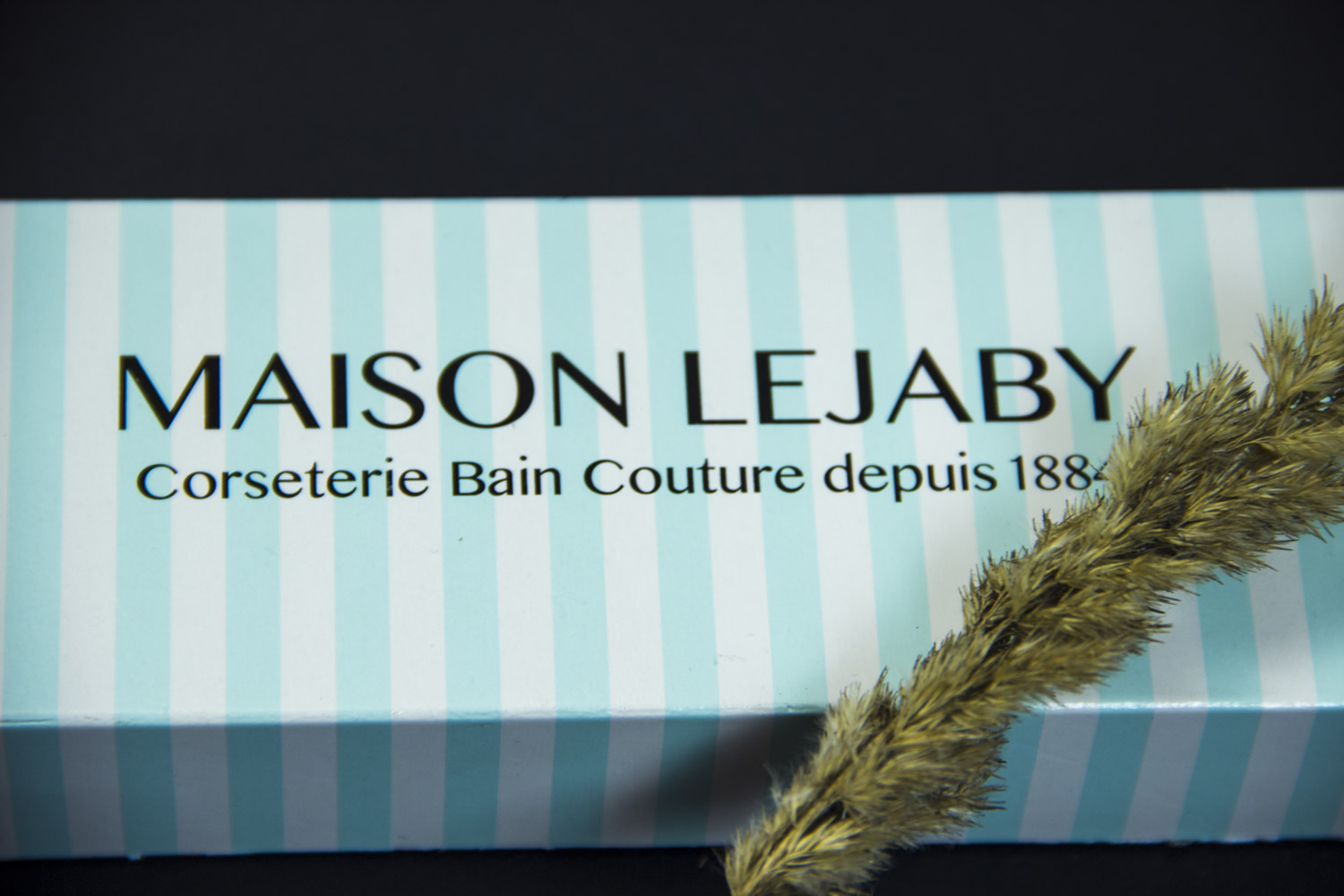 Обзор французского нижнего белья Maison Lejaby и русского интернет-магазина Best-elle